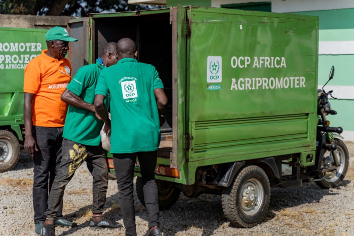Engrais : le gouvernement tanzanien  s'accroche à l'expertise de l'OCP 