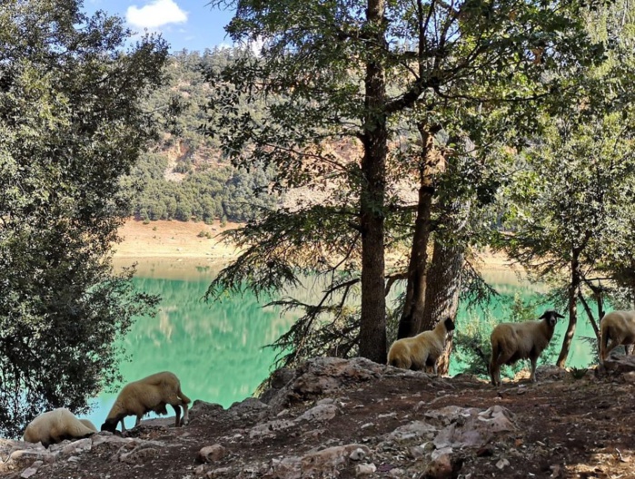 Écotourisme : Khénifra en quête d’un modèle efficace Écotourisme : Khénifra en quête d’un modèle efficace