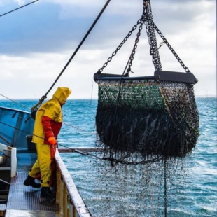 Coopération : Le Maroc fera l’évaluation des ressources halieutiques dans trois pays africains Coopération : Le Maroc fera l’évaluation des ressources halieutiques dans trois pays africains