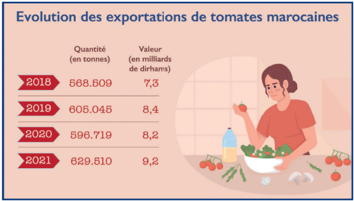 Prix des tomates : Faut-il limiter l’export pour contrer la flambée ?