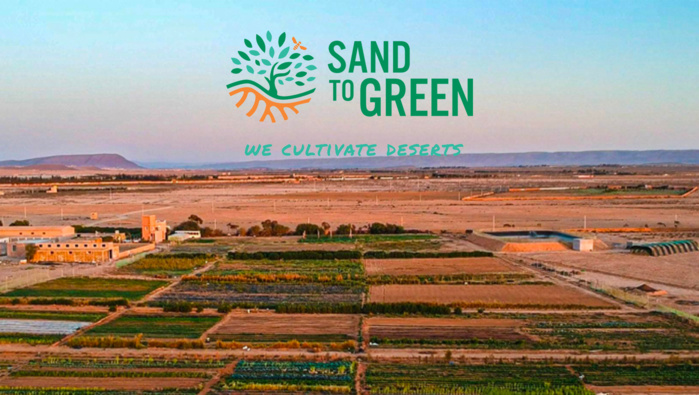 Financement de plantations en milieu aride au Maroc : Quand Sand to Green déploie son modèle innovant Financement de plantations en milieu aride au Maroc : Quand Sand to Green déploie son modèle innovant