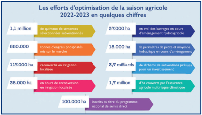 Agriculture : L’intersaison agricole pendue au fil des pluies