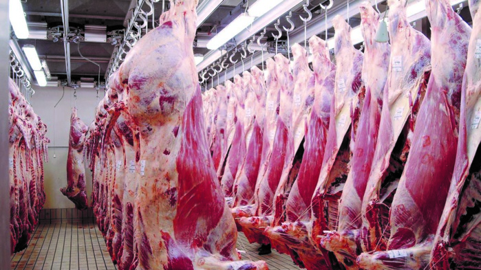Viandes rouges : Délai triennal pour le redressement du cheptel national Viandes rouges : Délai triennal pour le redressement du cheptel national