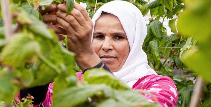 Maroc-Espagne : Des saisonnières accompagnées dans l’auto-emploi Maroc-Espagne : Des saisonnières accompagnées dans l’auto-emploi
