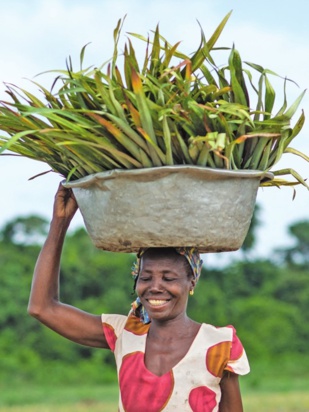 36ème Sommet ordinaire de l’Union Africaine : Faire de la ZLECAF le levier de l’intégration économique 36ème Sommet ordinaire de l’Union Africaine : Faire de la ZLECAF le levier de l’intégration économique