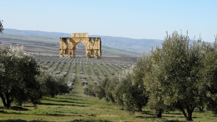 Meknès : Vers la création d’un Parc naturel Volubilis-Zerhoun