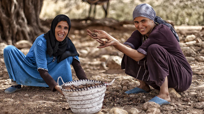 Coopératives agricoles : Un secteur doté d’un fort potentiel largement sous-exploité (étude) Coopératives agricoles : Un secteur doté d’un fort potentiel largement sous-exploité (étude)
