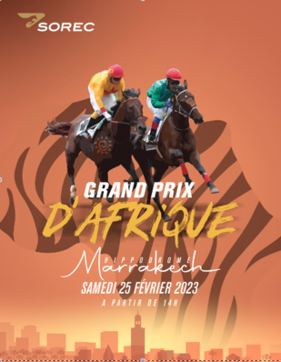 Courses de chevaux : Marrakech  abrite le Grand Prix d’Afrique