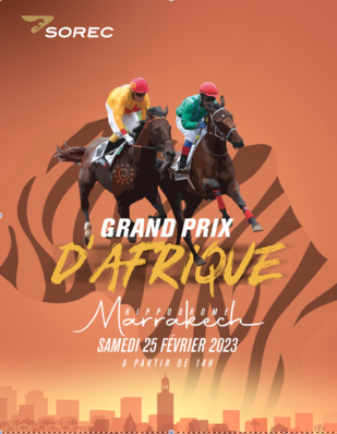 Courses de chevaux : Marrakech abrite le Grand Prix d’Afrique Courses de chevaux : Marrakech abrite le Grand Prix d’Afrique