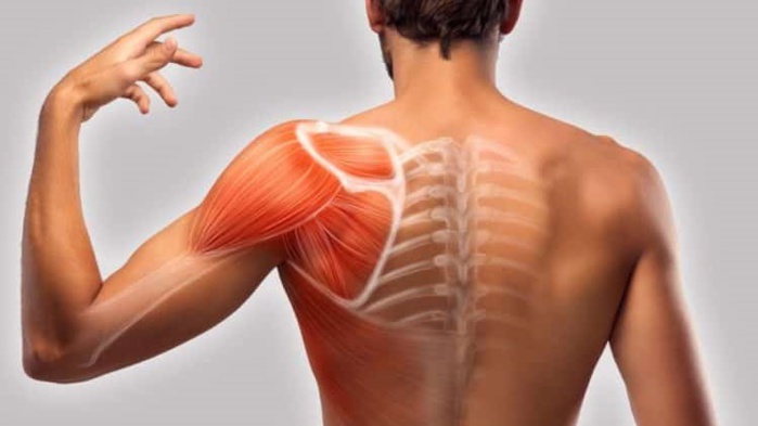 Santé Nœuds musculaires, comment les soulager ? Santé Nœuds musculaires, comment les soulager ?