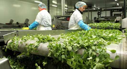 Béni Mellal : 80.000 visiteurs attendus au Salon de la technologie agricole et agroalimentaire Béni Mellal : 80.000 visiteurs attendus au Salon de la technologie agricole et agroalimentaire