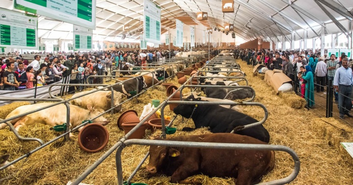 La ville Blanche abrite le SIDE La ville Blanche abrite le SIDE