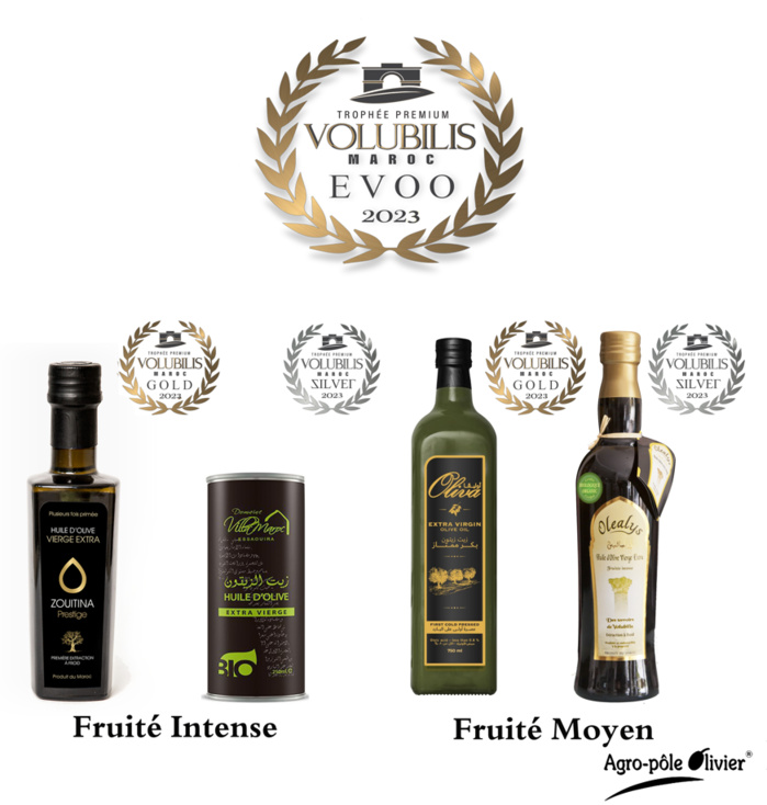 Meknès / Trophée Premium : "Volubilis Extra-Vierge Maroc 2023" s’illustre Meknès / Trophée Premium : "Volubilis Extra-Vierge Maroc 2023" s’illustre