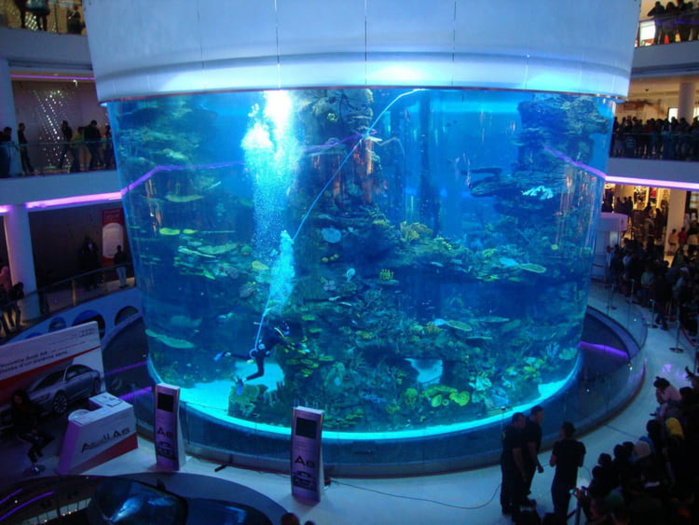 Casablanca: Un aquarium géant promis à être un site emblématique Casablanca: Un aquarium géant promis à être un site emblématique