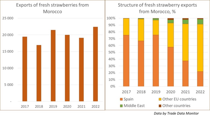 Agriculture : Les fraises marocaines réussissent bien à l’export