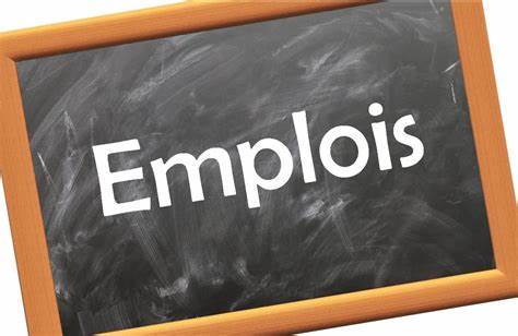 Emploi : Quel rôle pour l’université pour un environnement de travail en constante évolution ? Emploi : Quel rôle pour l’université pour un environnement de travail en constante évolution ?