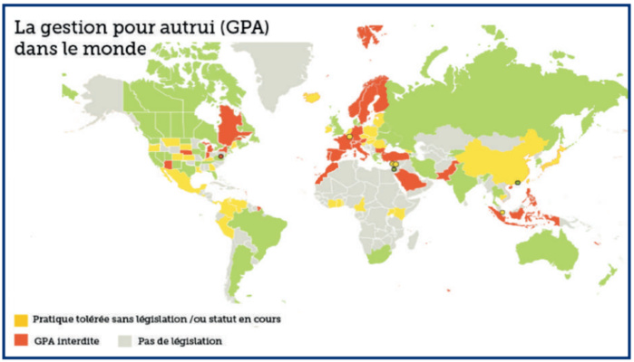 Gestation pour autrui au Maroc  : Débat embryonnaire autour d’une pratique taboue [INTÉGRAL]