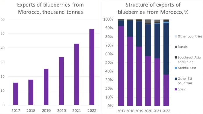 Le Maroc, quatrième exportateur mondial de myrtilles Le Maroc, quatrième exportateur mondial de myrtilles