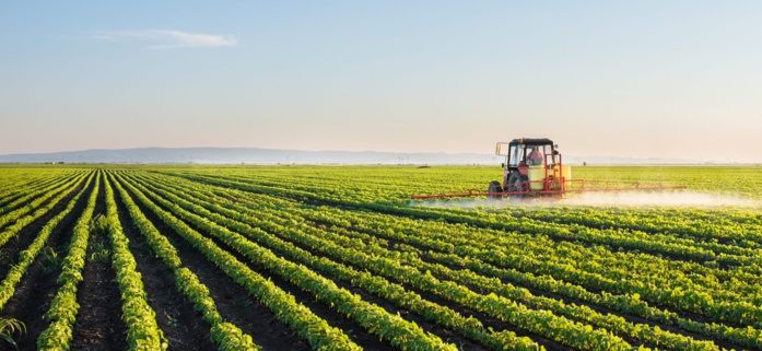 Berrechid : Les pluies de l’espoir pour les agriculteurs Berrechid : Les pluies de l’espoir pour les agriculteurs