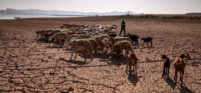 Le changement climatique au cœur d’un atelier à Rabat Le changement climatique au cœur d’un atelier à Rabat