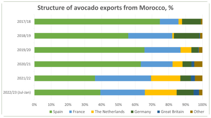 Avocat : Le Maroc pourrait établir un record en matière d'exportations