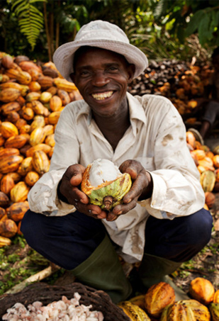 Maroc / Côte d’Ivoire : OCP fait don de 10.000 tonnes d'engrais aux producteurs de cacao ivoiriens