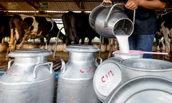 Ramadan : Les prix du lait résistent à la hausse
