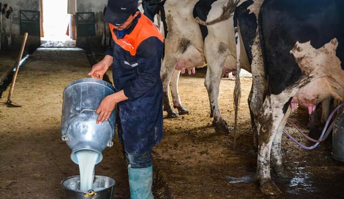 Ramadan : Les prix du lait résistent à la hausse [INTÉGRAL] 