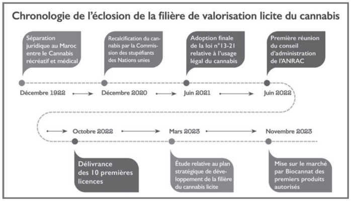 Cannabis licite : Retard à l’allumage d’une filière en attente d’éclosion  [INTÉGRAL]