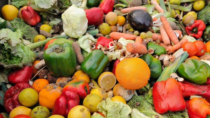 Légumes : un rapport pointe du doigt le gaspillage excessif dans les marchés de gros  Légumes : un rapport pointe du doigt le gaspillage excessif dans les marchés de gros