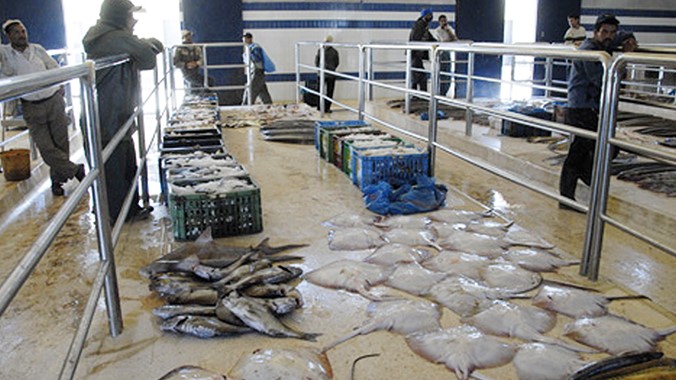 Mehdia: 20 Millions de DH pour la nouvelle halle aux poissons
