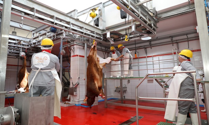 Agadir / "Awrach" : Lancement de la 2è édition à Souss-Massa Agadir / "Awrach" : Lancement de la 2è édition à Souss-Massa