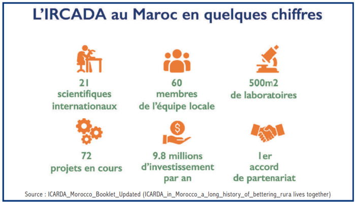 Portrait : Ahmed Amri, ce banquier qui nous donne du blé Portrait : Ahmed Amri, ce banquier qui nous donne du blé