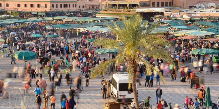 Photo: droits réservés. Photo: droits réservés.