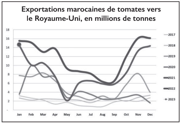 Export -Tomates : Le Maroc sur le podium du top 5 mondial