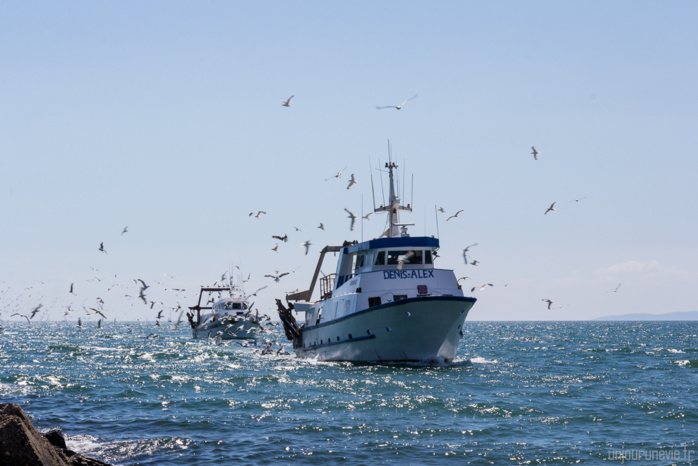 Le Maroc sanctionnera les armateurs nationaux qui pêchent illégalement en Méditerranée