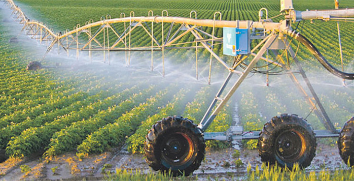 Projets d’agrégation agricole: Voici les détails du soutien approuvé par le gouvernement Projets d’agrégation agricole: Voici les détails du soutien approuvé par le gouvernement