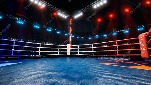 Boxe : Le Maroc prend part aux championnats du monde à Tachkent Boxe : Le Maroc prend part aux championnats du monde à Tachkent