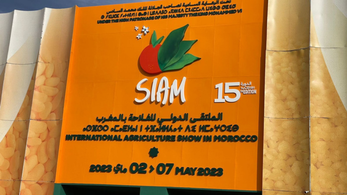 Salon international de l’Agriculture du Maroc: L’édition 2023 rythmée par des records et des nouveautés Salon international de l’Agriculture du Maroc: L’édition 2023 rythmée par des records et des nouveautés