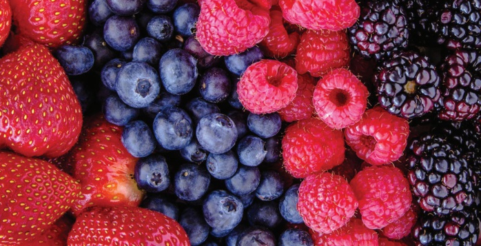 Export : La saga des fruits rouges marocains à l’international Export : La saga des fruits rouges marocains à l’international