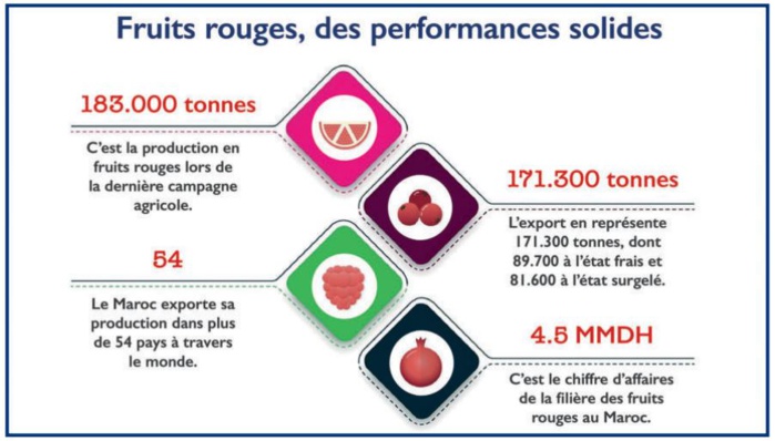Export : La saga des fruits rouges marocains à l’international [INTÉGRAL]
