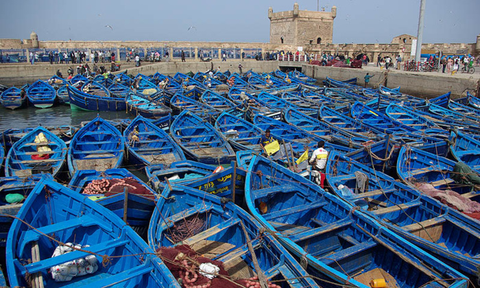 Immigration illégale : Des bateaux confisqués dans un atelier clandestin à Tanger