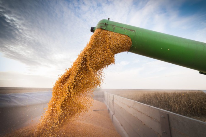 Agriculture : Les voies de la résilience face à la sécheresse