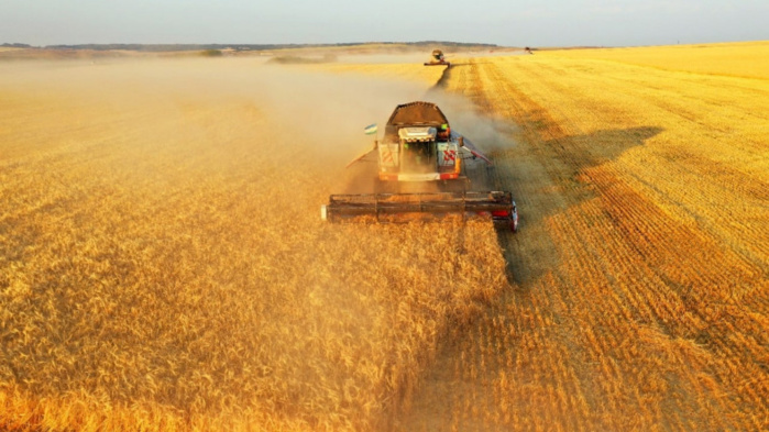 Agriculture : Les voies de la résilience face à la sécheresse [INTÉGRAL]