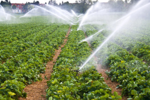 Irrigation climato-intelligente : Vers l’expansion du marché dédié à l’agriculture 4.0 ? [INTÉGRAL]