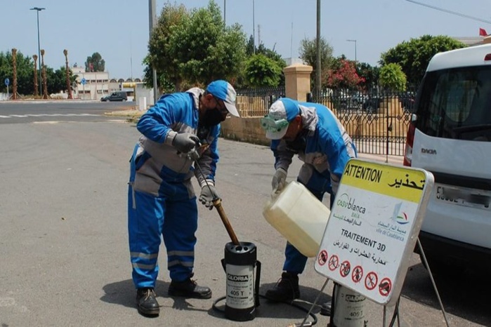 Rabat : Une vaste campagne de lutte contre les vecteurs de maladies Rabat : Une vaste campagne de lutte contre les vecteurs de maladies