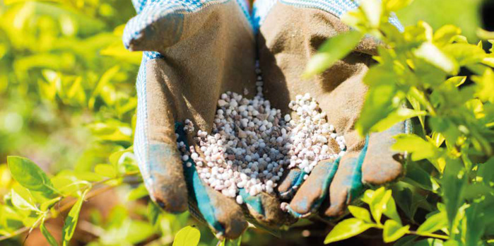 Engrais : le Maroc devient le 5ème fournisseur de l'Inde Engrais : le Maroc devient le 5ème fournisseur de l'Inde