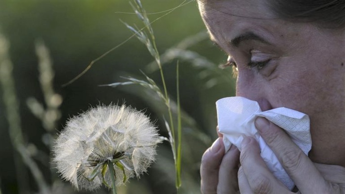 Allergies aux pollens de graminées : les erreurs qui empirent la crise Allergies aux pollens de graminées : les erreurs qui empirent la crise