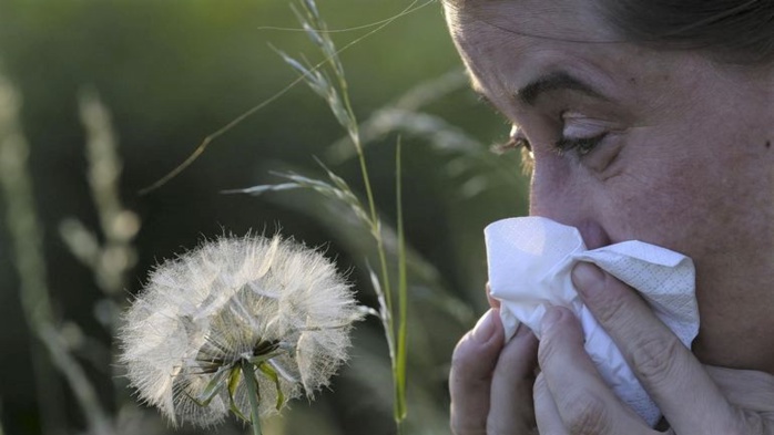 Allergies aux pollens de graminées : les erreurs qui empirent la crise