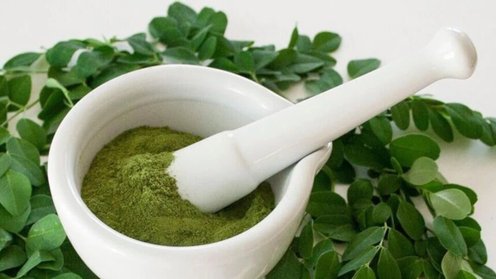 Moringa : Plante « miracle » qui fait le buzz Moringa : Plante « miracle » qui fait le buzz